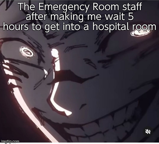 Not only that but you have to wear a fucking mask while you have a fever | The Emergency Room staff after making me wait 5 hours to get into a hospital room | image tagged in sukuna smile | made w/ Imgflip meme maker