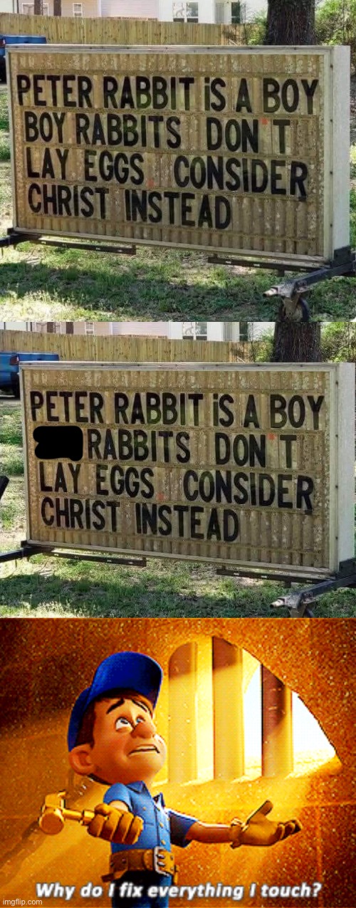 Rabbits lay eggs? | image tagged in why do i fix everything i touch,rabbits,eggs,easter,boys vs girls | made w/ Imgflip meme maker