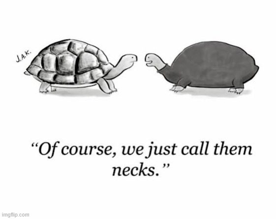 Necks | image tagged in repost,necks | made w/ Imgflip meme maker
