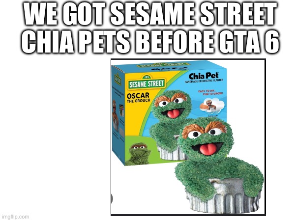 I saw this today at grandpa joes candy shop in Ohio which is where I’m from. | WE GOT SESAME STREET CHIA PETS BEFORE GTA 6 | image tagged in chia pet,sesame street,memes,oscar the grouch | made w/ Imgflip meme maker