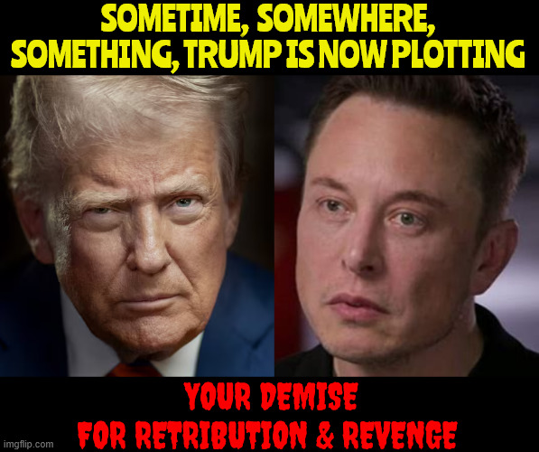 Bye Elon | SOMETIME,  SOMEWHERE, SOMETHING, TRUMP IS NOW PLOTTING; YOUR DEMISE FOR RETRIBUTION & REVENGE | image tagged in bye elon,revenge is thy motto,el salavador,deported,election fraud,nomance | made w/ Imgflip meme maker