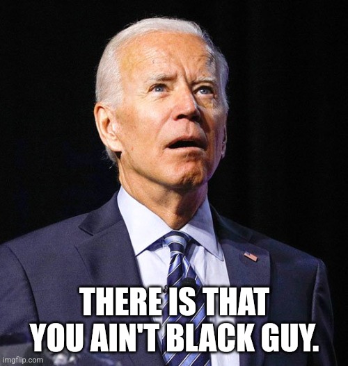 Joe Biden | THERE IS THAT YOU AIN'T BLACK GUY. | image tagged in joe biden | made w/ Imgflip meme maker