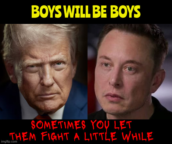 Boys will be boys | BOYS WILL BE  BOYS; SOMETIMES YOU LET THEM FIGHT A LITTLE WHILE | image tagged in boys will be boys,sometimes you let them fight a little,black eye,revenge,war of words,muxk vs trump | made w/ Imgflip meme maker