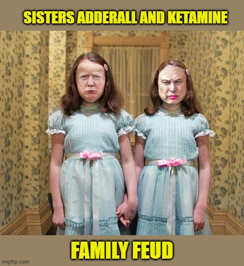 Will the girls ever bury the hatchet and make up? | SISTERS ADDERALL AND KETAMINE; FAMILY FEUD | image tagged in impeach trump,donald trump memes,government corruption,trump is a moron,elon musk | made w/ Imgflip meme maker