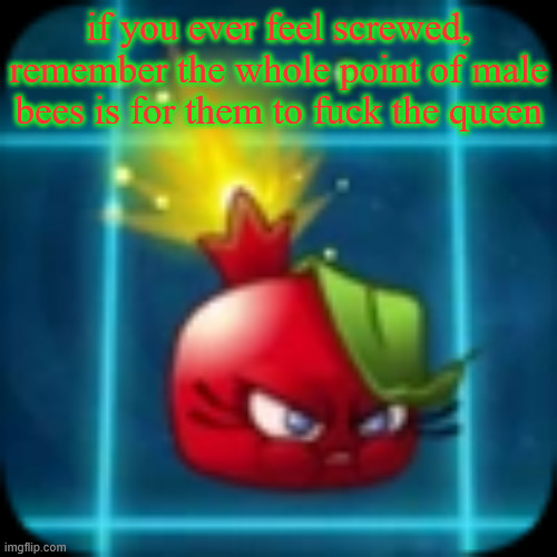 goober 2 | if you ever feel screwed, remember the whole point of male bees is for them to fuck the queen | image tagged in goober 2 | made w/ Imgflip meme maker