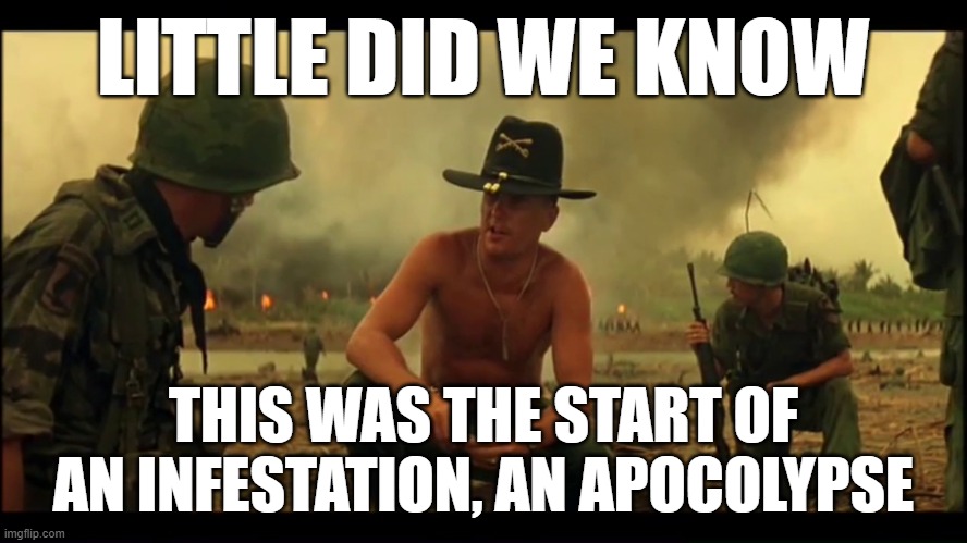 napalm | LITTLE DID WE KNOW THIS WAS THE START OF AN INFESTATION, AN APOCOLYPSE | image tagged in napalm | made w/ Imgflip meme maker