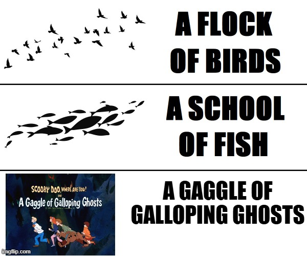 Boo! | A GAGGLE OF
GALLOPING GHOSTS | image tagged in a blank of blank,scooby doo,shaggy,ghosts,monsters,mystery | made w/ Imgflip meme maker