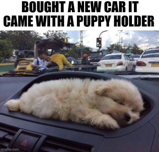Bought A New Car It Came With A Puppy Holder | BOUGHT A NEW CAR IT CAME WITH A PUPPY HOLDER | image tagged in chrisjoines1 | made w/ Imgflip meme maker