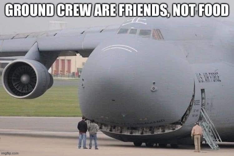 Ground crew | image tagged in ground,crewmate,friends,food | made w/ Imgflip meme maker