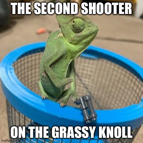 Shooter | THE SECOND SHOOTER; ON THE GRASSY KNOLL | image tagged in shooter,second,grassy knoll,john f kennedy,assassination | made w/ Imgflip meme maker