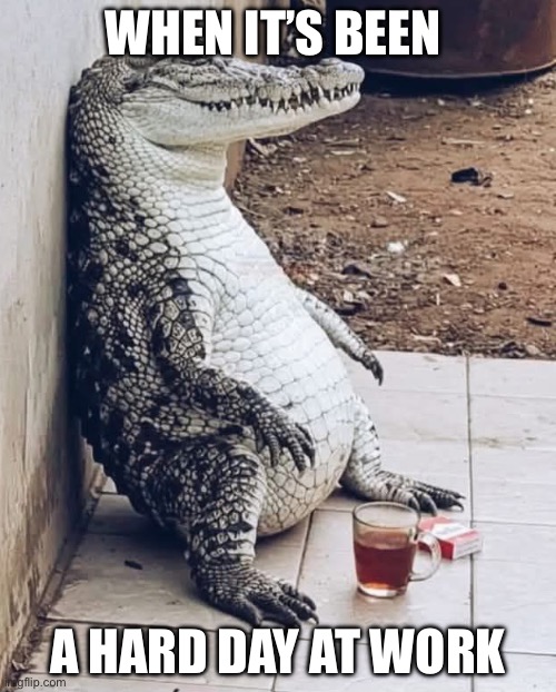 Work | WHEN IT’S BEEN; A HARD DAY AT WORK | image tagged in work,hard,bad day | made w/ Imgflip meme maker