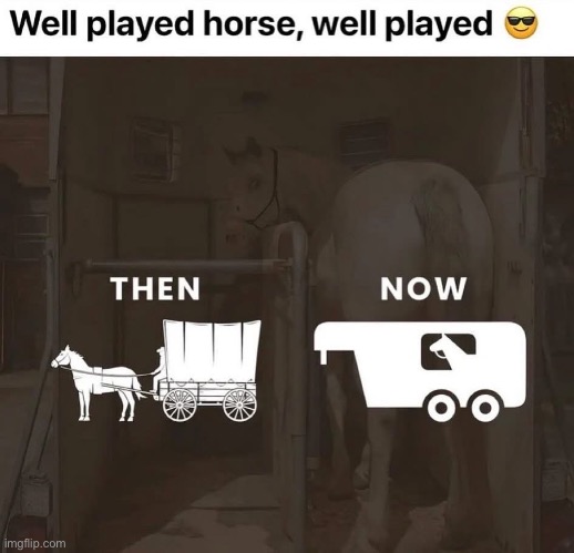 Horse | image tagged in horse | made w/ Imgflip meme maker