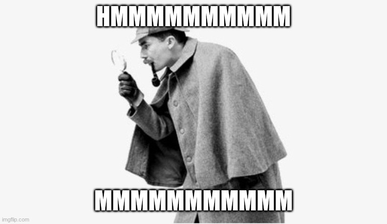 no shit sherlock  | HMMMMMMMMMM MMMMMMMMMMM | image tagged in no shit sherlock | made w/ Imgflip meme maker