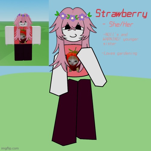 Strawberry | image tagged in roblox,oc | made w/ Imgflip meme maker