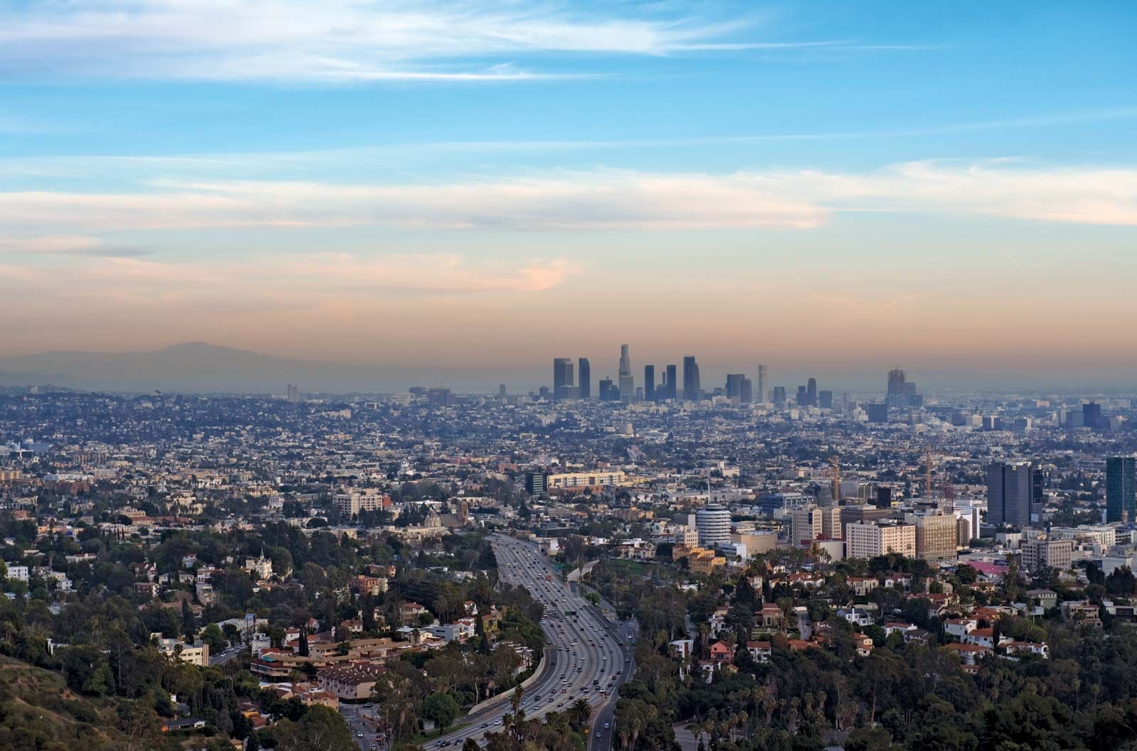 Los angeles Blank Meme Template