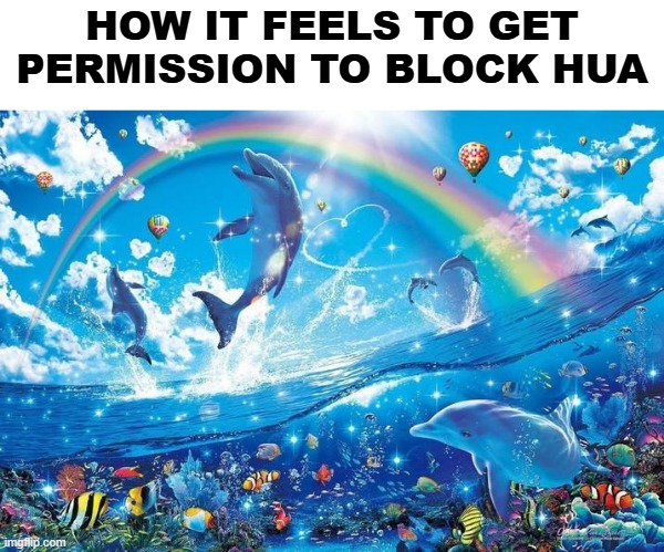 ty sm | HOW IT FEELS TO GET PERMISSION TO BLOCK HUA | image tagged in happy dolphin rainbow | made w/ Imgflip meme maker