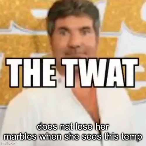 the twat | does nat lose her marbles when she sees this temp | image tagged in the twat | made w/ Imgflip meme maker