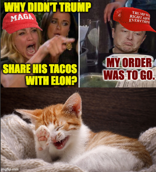 An Elump joke for you  ( : | image tagged in memes,laughing cat,elump jokes | made w/ Imgflip meme maker