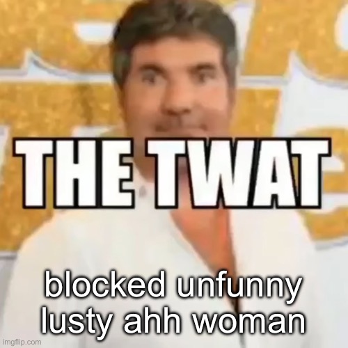 now chats gonna look dead | blocked unfunny lusty ahh woman | image tagged in the twat | made w/ Imgflip meme maker
