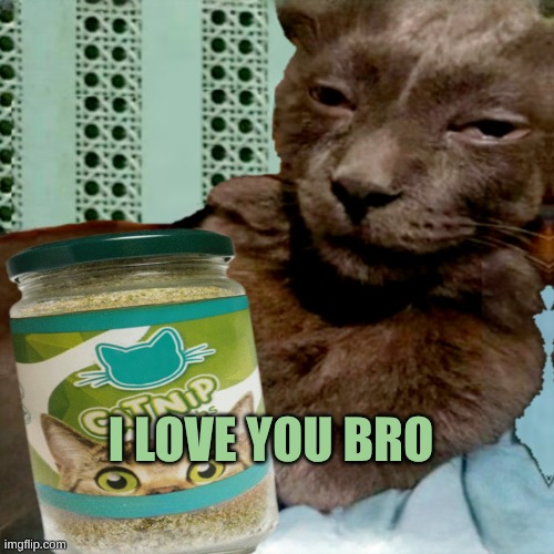 Shit Poster 4 Lyfe | I LOVE YOU BRO | image tagged in shit poster 4 lyfe | made w/ Imgflip meme maker