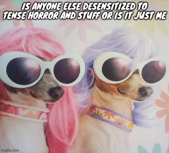 Groovy dawgs | IS ANYONE ELSE DESENSITIZED TO TENSE HORROR AND STUFF OR IS IT JUST ME | image tagged in groovy dawgs | made w/ Imgflip meme maker