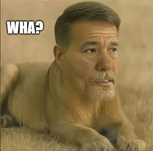 WHA? | made w/ Imgflip meme maker