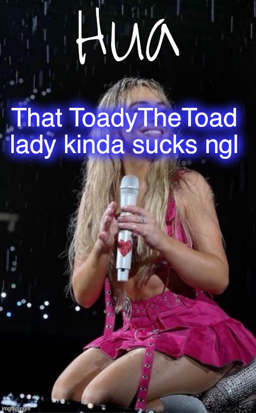 That ToadyTheToad lady kinda sucks ngl | image tagged in hua temp | made w/ Imgflip meme maker