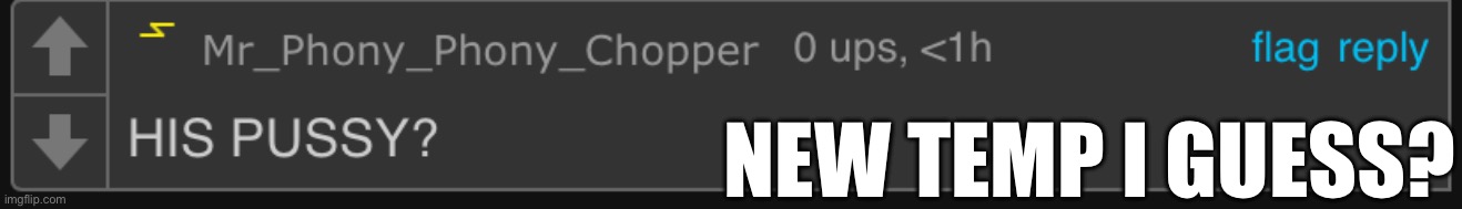 Should probably mark it nsfw to use | NEW TEMP I GUESS? | image tagged in his pussy | made w/ Imgflip meme maker