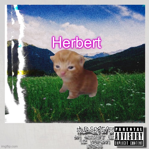 Herbert | Herbert | image tagged in huaspring temp,herbert | made w/ Imgflip meme maker