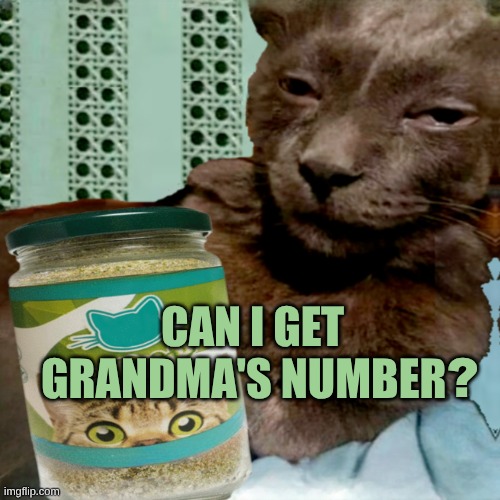 Shit Poster 4 Lyfe | ? CAN I GET GRANDMA'S NUMBER | image tagged in shit poster 4 lyfe | made w/ Imgflip meme maker