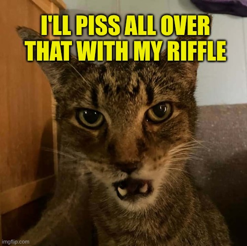only going to tell you once cat | I'LL PISS ALL OVER THAT WITH MY RIFFLE | image tagged in only going to tell you once cat | made w/ Imgflip meme maker