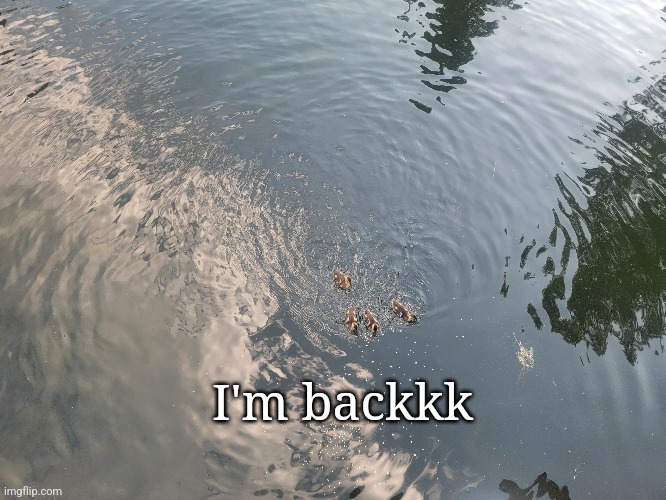 I'm backkk | made w/ Imgflip meme maker