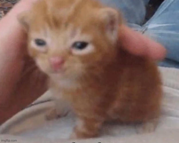 Herbert | image tagged in herbert | made w/ Imgflip meme maker
