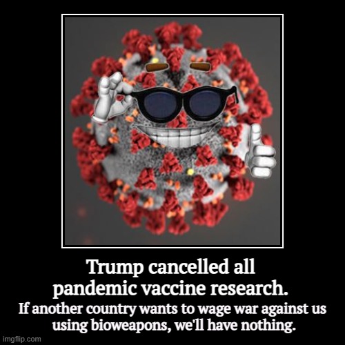 So much for National Security. Our President is not protecting us. | Trump cancelled all pandemic vaccine research. | If another country wants to wage war against us
 using bioweapons, we'll have nothing. | image tagged in funny,demotivationals,trump,science,flu,pandemic | made w/ Imgflip demotivational maker