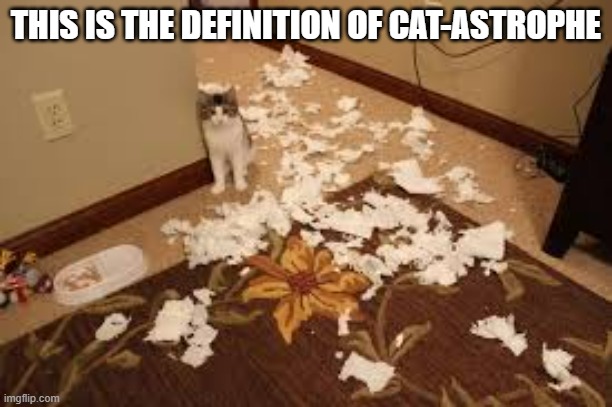 Here is the definition of cat-astrophe.  - funny - | THIS IS THE DEFINITION OF CAT-ASTROPHE | image tagged in cats,funny,kitten,humor,play on words,mess | made w/ Imgflip meme maker
