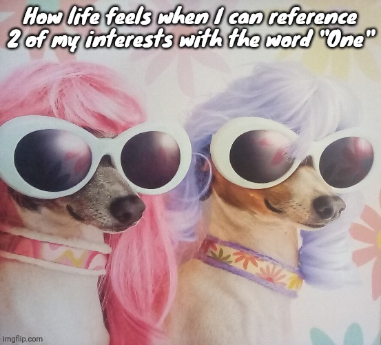 Groovy dawgs | How life feels when I can reference 2 of my interests with the word "One" | image tagged in groovy dawgs | made w/ Imgflip meme maker