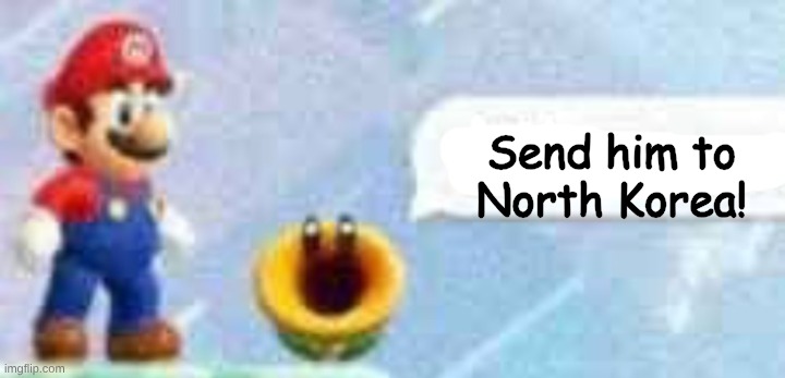 Mario talking flower | Send him to North Korea! | image tagged in mario talking flower | made w/ Imgflip meme maker