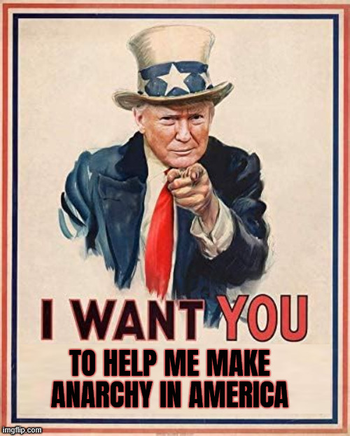 Trump's anaracy in America | TO HELP ME MAKE ANARCHY IN AMERICA | image tagged in trump's anaracy in america,maga malitia,incite violence,fales flag,national emergency,marshall law | made w/ Imgflip meme maker