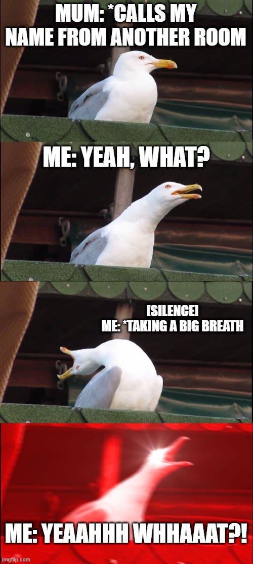 Inhaling Seagull | MUM: *CALLS MY NAME FROM ANOTHER ROOM; ME: YEAH, WHAT? [SILENCE]

ME: *TAKING A BIG BREATH; ME: YEAAHHH WHHAAAT?! | image tagged in memes,inhaling seagull | made w/ Imgflip meme maker