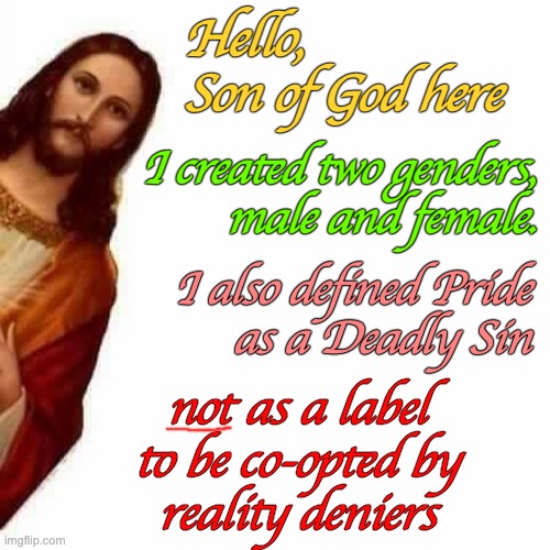 Peeking Jesus | Hello,
Son of God here; I created two genders,
male and female. I also defined Pride
as a Deadly Sin; not as a label
to be co-opted by
reality deniers | image tagged in peeking jesus | made w/ Imgflip meme maker