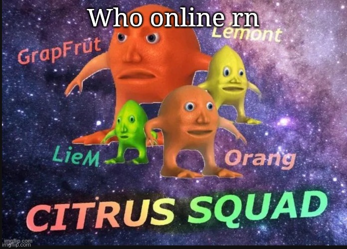 citrus squad | Who online rn | image tagged in citrus squad | made w/ Imgflip meme maker