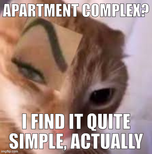 s | APARTMENT COMPLEX? I FIND IT QUITE SIMPLE, ACTUALLY | image tagged in cat ayo | made w/ Imgflip meme maker