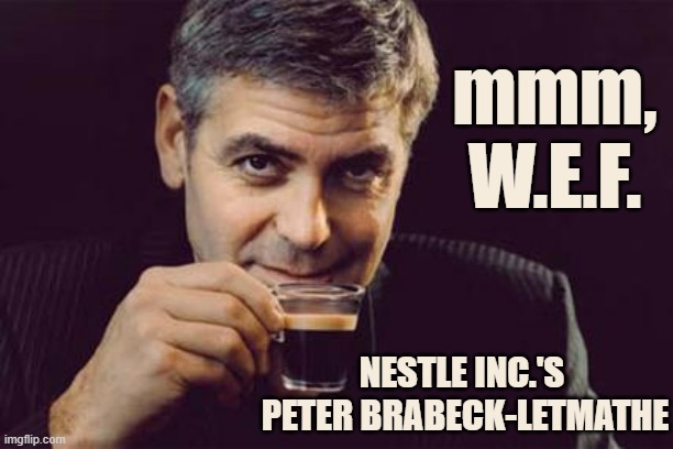 George Clooney what else | mmm,
W.E.F. NESTLE INC.'S 
PETER BRABECK-LETMATHE | image tagged in george clooney what else | made w/ Imgflip meme maker