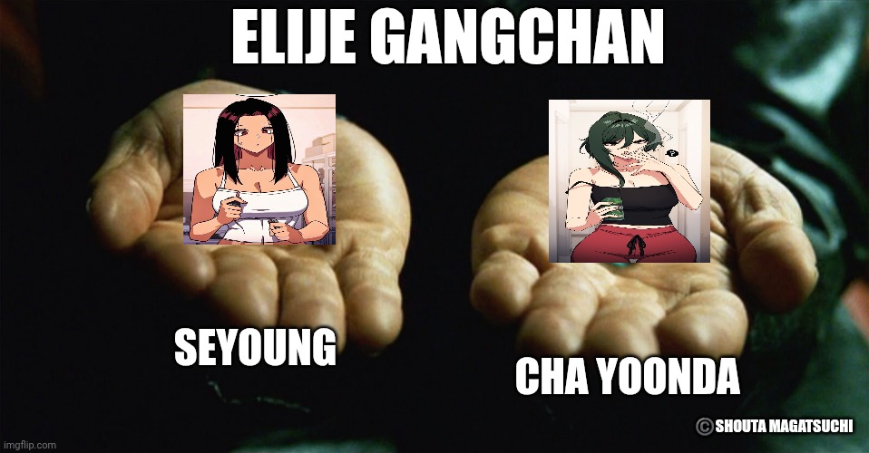 Someone stop her | ELIJE GANGCHAN; SEYOUNG; CHA YOONDA; ©️SHOUTA MAGATSUCHI | image tagged in red pill blue pill | made w/ Imgflip meme maker
