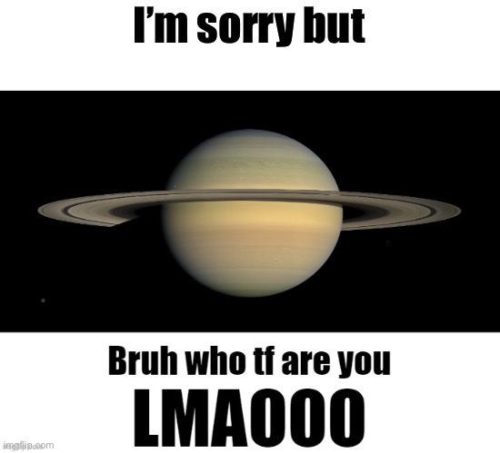 Bruh who tf are you LMAOOO | I’m sorry but | image tagged in bruh who tf are you lmaooo | made w/ Imgflip meme maker