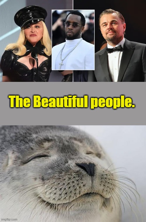 I don't get the celebrity worshiping ? | The Beautiful people. | image tagged in memes,satisfied seal | made w/ Imgflip meme maker