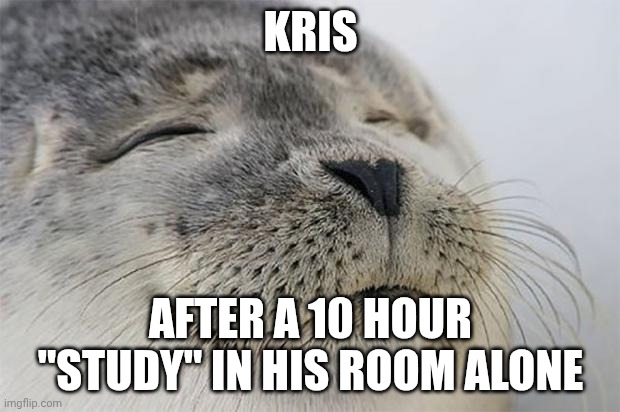 Satisfied Seal Meme | KRIS AFTER A 10 HOUR "STUDY" IN HIS ROOM ALONE | image tagged in memes,satisfied seal | made w/ Imgflip meme maker