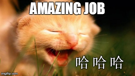 AMAZING JOB å“ˆ
å“ˆ
å“ˆ | image tagged in laughing kitten | made w/ Imgflip meme maker