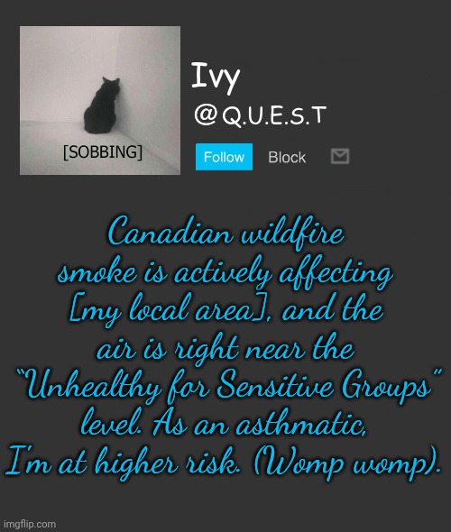 Guess I'll die chat | Canadian wildfire smoke is actively affecting [my local area], and the air is right near the “Unhealthy for Sensitive Groups” level. As an asthmatic, I'm at higher risk. (Womp womp). | image tagged in ivy announcement template | made w/ Imgflip meme maker