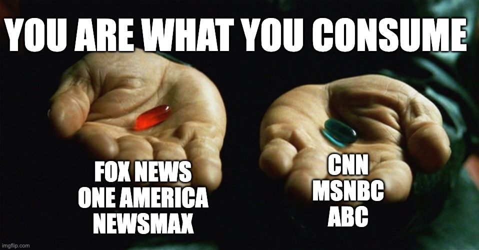 WHAT IF I TOLD YOU... | YOU ARE WHAT YOU CONSUME; CNN
MSNBC
ABC; FOX NEWS
ONE AMERICA
NEWSMAX | image tagged in red pill blue pill,conservative,liberal | made w/ Imgflip meme maker